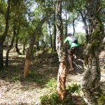 Mountainbike auf gekennzeichneten Wegen und Pfaden. Foto: RETECORK