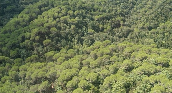 espacio-natural-montnegre-corredor-2