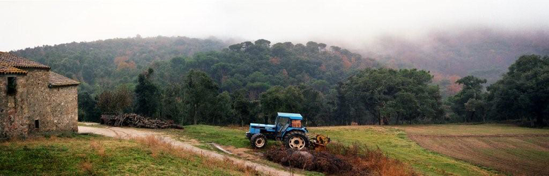 espacio-natural-montnegre-corredor-5