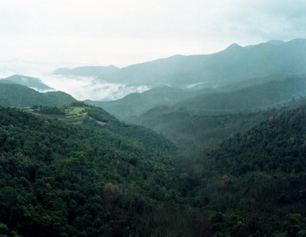 espacio-natural-montseny-1