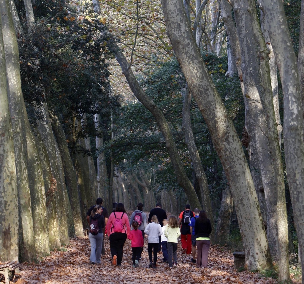 2013 Santa Coloma de Farners. FOTO: PERE DURAN