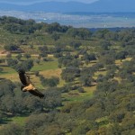 Serra de San Pedro. Foto: Mancomunidade Serra de San Pedro