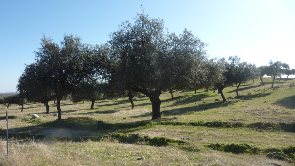 espacio-natural-sierra-andujar-2