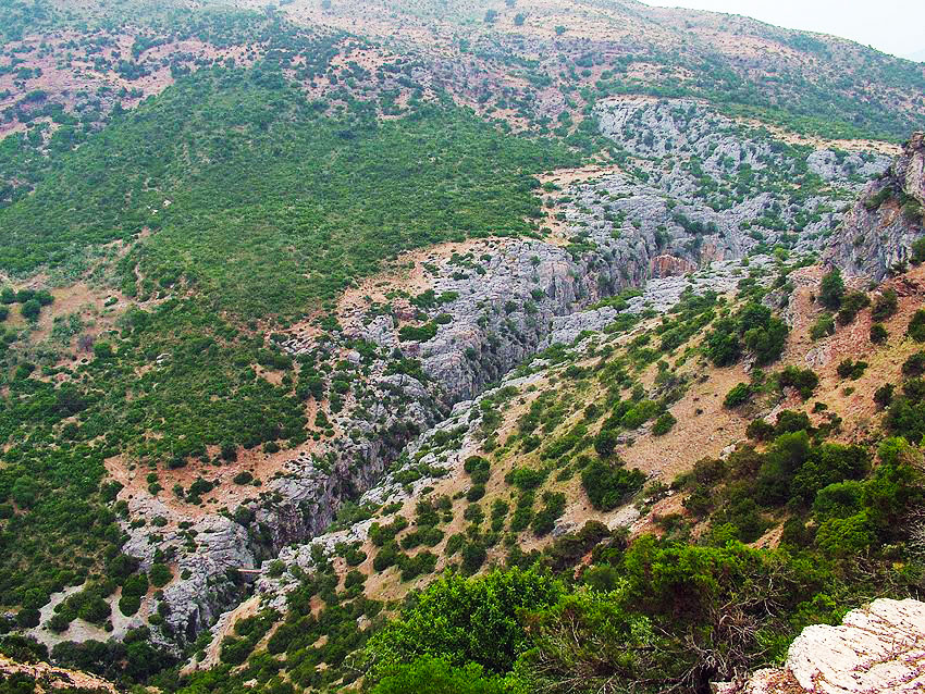 espacio-natural-sierra-grazalema-2