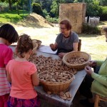 Fiesta del descorche en Llofriu, Palafrugell. Foto: RETECORK