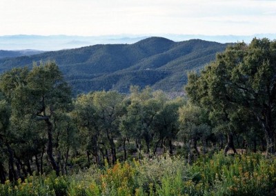 Spazio d’Interesse Naturale Les Gavarres