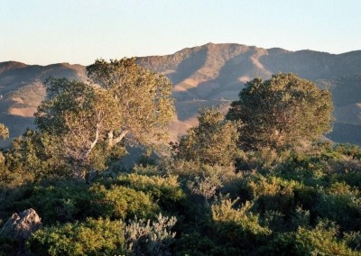 Paraje Natural de Interés Nacional de la Albera