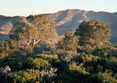 Naturgebiet Von Nationaler Bedeutung La Albera