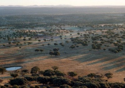 Zone d’Intérêt Régional Sierra de San Pedro