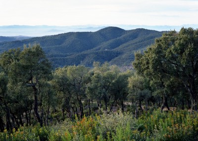 Espaço de Interesse Natural Les Gavarres