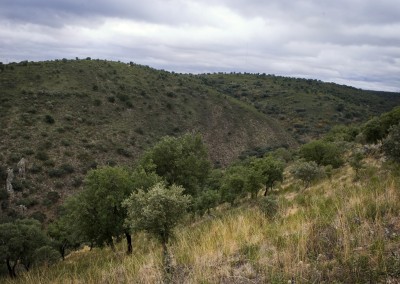 Centro de Interpretación El Alcornocal