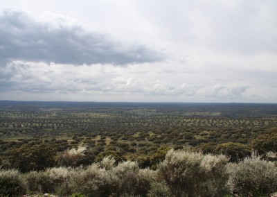 Parque Nacional de Monfragüe