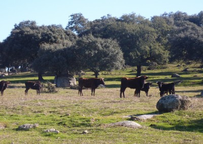 Parque Natural de la Sierra de Andújar