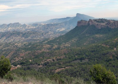 Parque Regional El Valle y Carrascoy