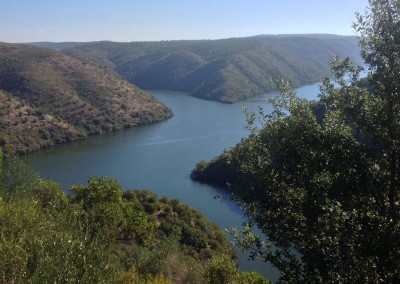 The International Nature Reserve of the Tagus River