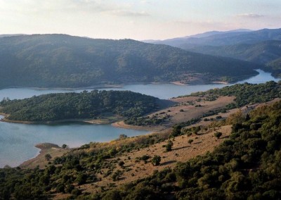 Naturpark Los Alcornocales