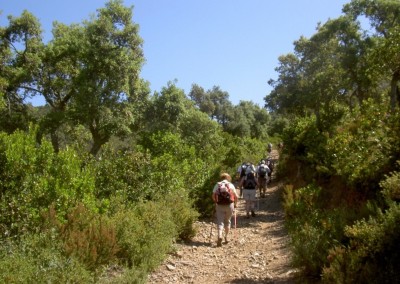 Alcornocal de Llofriu con los 5 sentidos