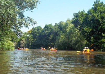 Kajakfahren im fluss Palmones