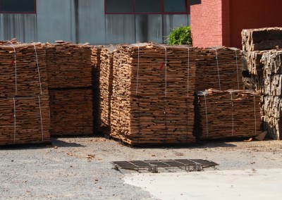 La ruta del corcho de Can Villalonga