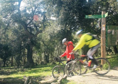 The Gavarres pedals MTB trail, where the mountains are reflected in the sea