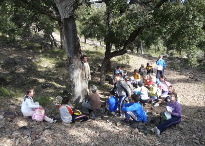 Walking through the cork oak forests in the Sierra de Espadán