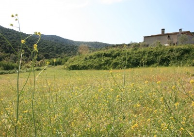 Can Freginals: Celebri i suoi eventi circondato da querce da sughero